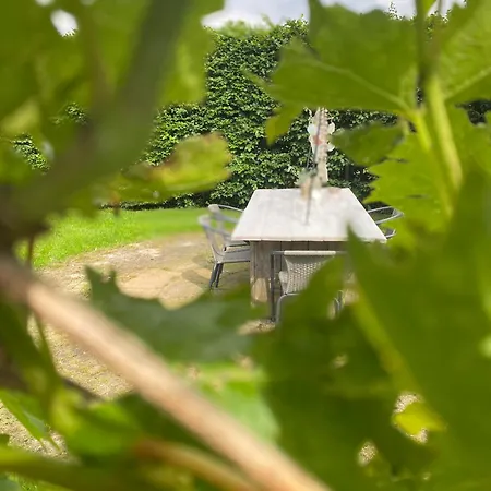 In Two Отель типа 